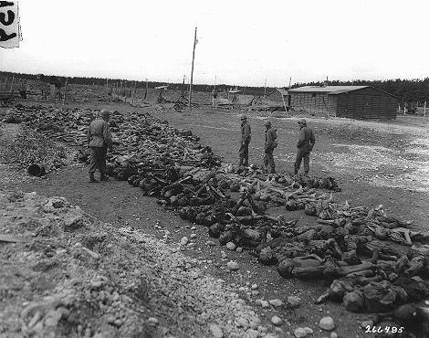 U.S. troops viewing the bodies of victims of Kaufering IV, April 30, 1945.
Photo source: United States Holocaust Memorial Museum.