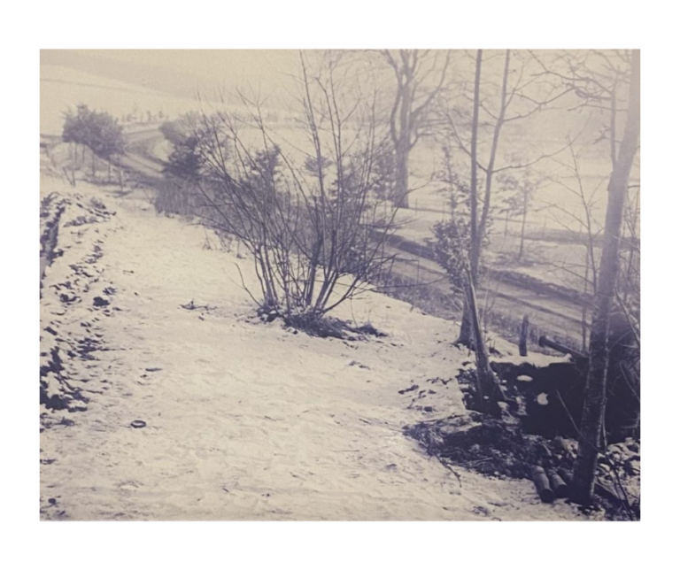 Members of the 101st Airborne Division, armed with bazookas, are on guard for enemy tanks on the road leading to Bastogne.